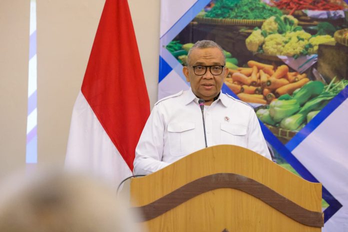 Wakil Menteri Ketenagakerjaan Afriansyah Noor