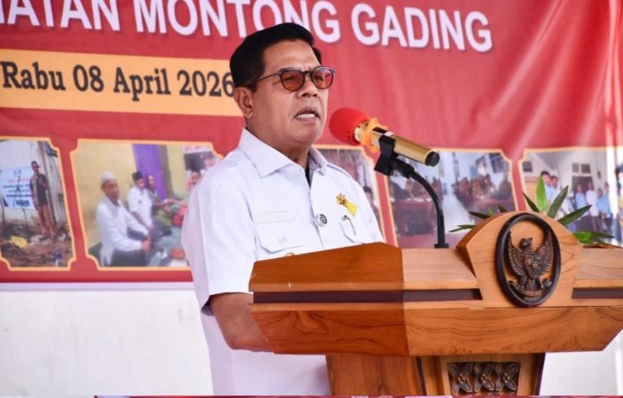 bupati lotim